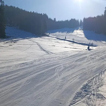 Krusnohorska Roubenka * Karlovy Vary