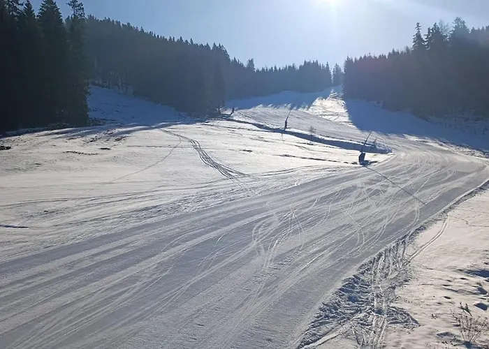 Krusnohorska Roubenka * Karlsbad